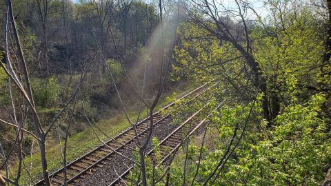 05/02/25 - 20250502_180037.jpg