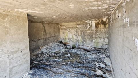 Textmont's Remains - 20250509_125957(0).jpg