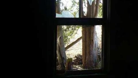 Photo from 2 houses, 2 chevy