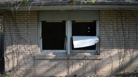 May '25 - DSC_0726.JPG