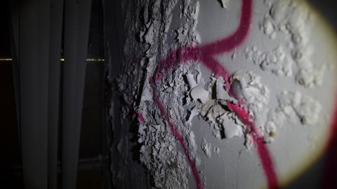 May '25 - DSC_0719.JPG