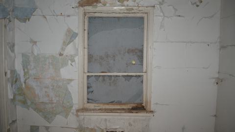 May '25 - DSC_0718.JPG