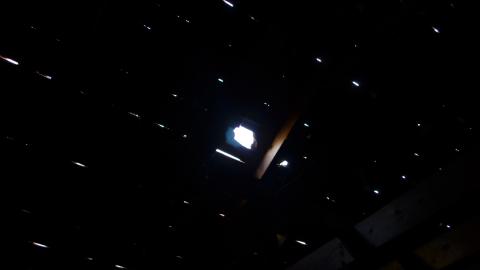 May '25 - DSC_0716.JPG