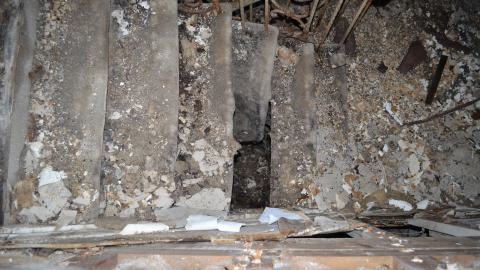 May '25 - DSC_0713.JPG