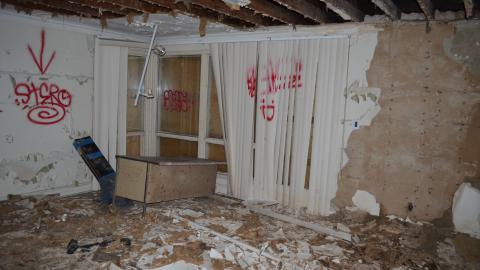 May '25 - DSC_0710.JPG