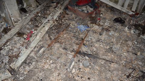 May '25 - DSC_0709.JPG