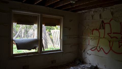 May '25 - DSC_0707.JPG