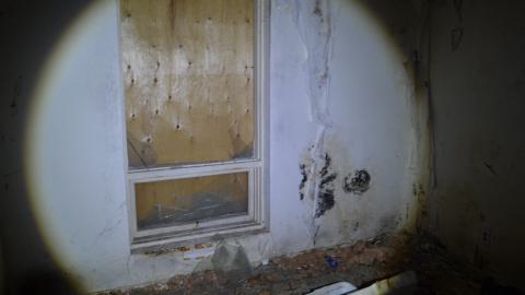 May '25 - DSC_0706.JPG