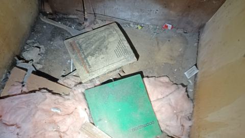 The Rot Sets In - 20250408_113114.jpg