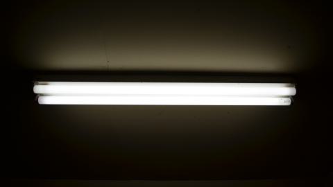 Back Again - DSC_0824.JPG