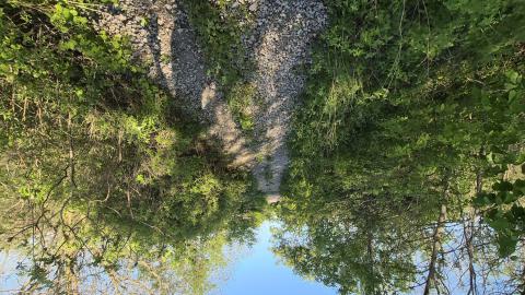 Rail grade 100' plus leading to bridge