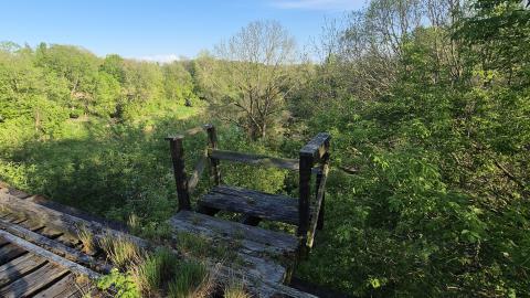 Looking south at rotten timber