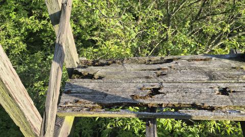 Photo from Abandoned Rail Bridge 1871