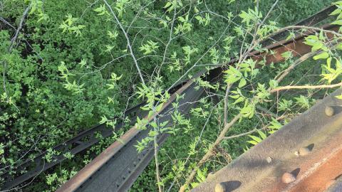 Scary shot leaning to show the steel structure