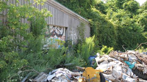 ABC Lumber - IMG_7252.JPG