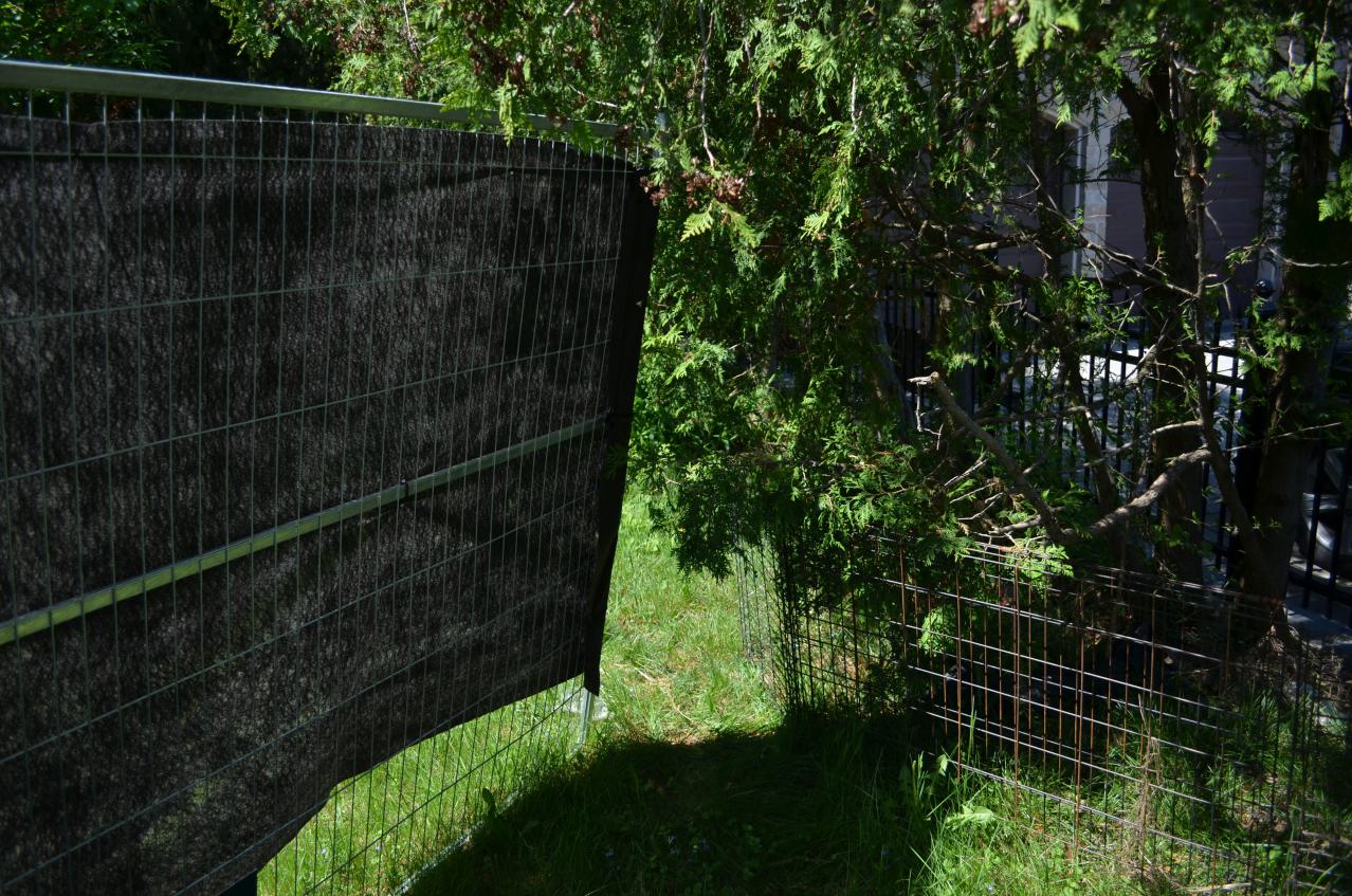 Bloody Hell - DSC_1083.JPG