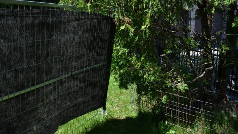 Fairview Bloodshed photo 5