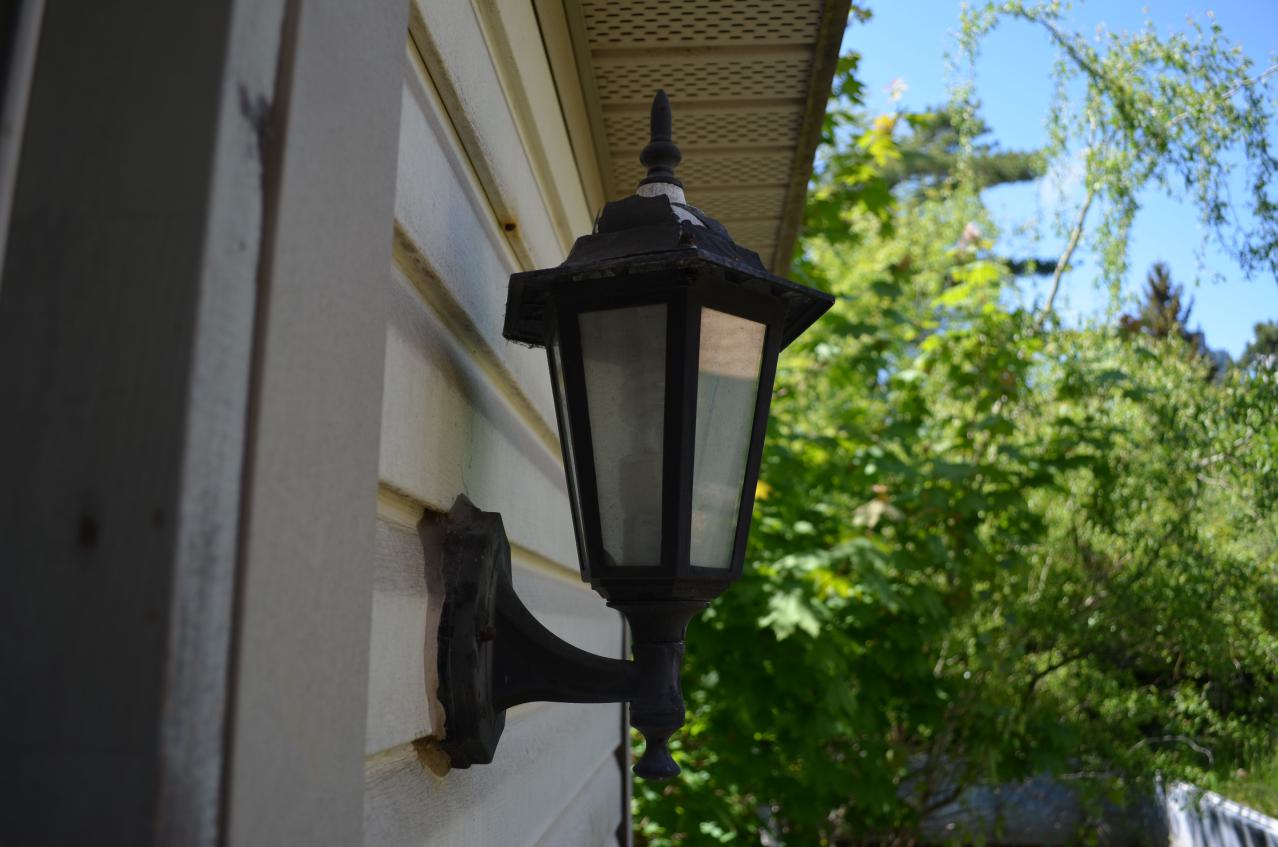 Bloody Hell - DSC_1079.JPG