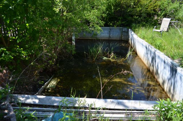 Bloody Hell - DSC_1077.JPG