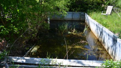 Fairview Bloodshed photo 3