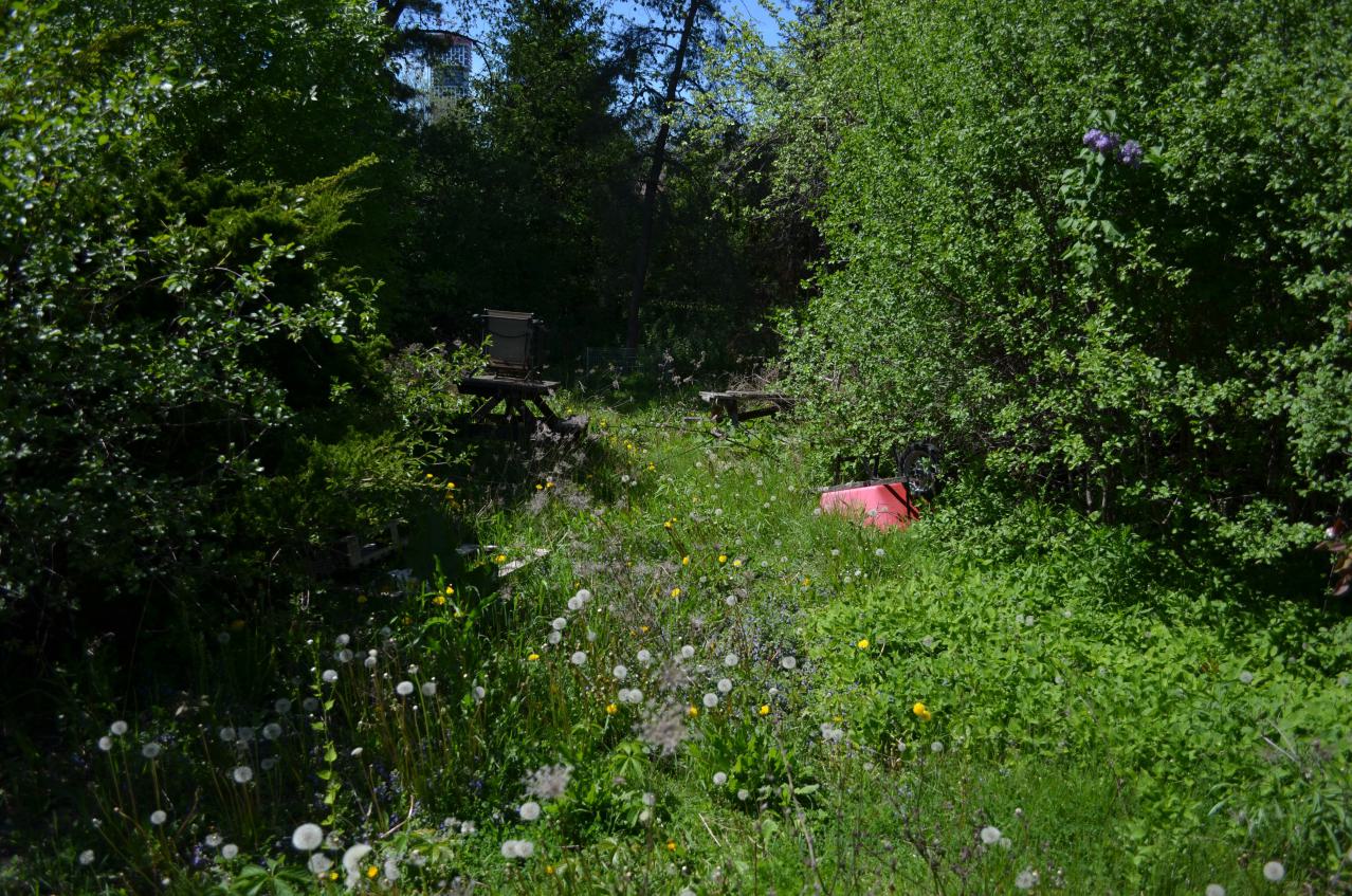 Bloody Hell - DSC_1075.JPG