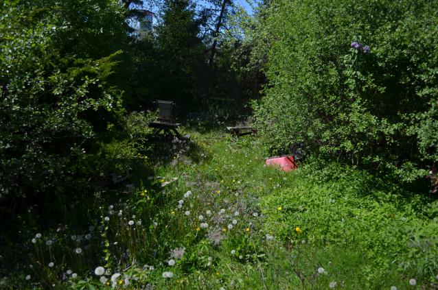 Bloody Hell - DSC_1075.JPG