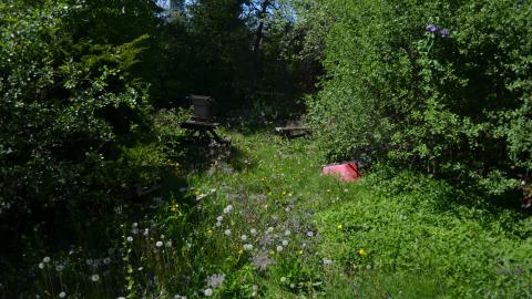 Bloody Hell - DSC_1075.JPG