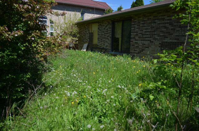 Bloody Hell - DSC_1074.JPG