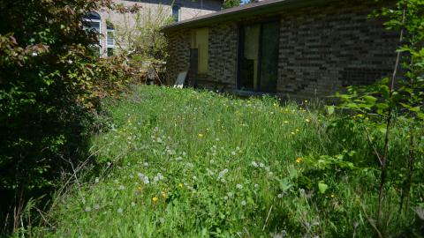 Fairview Bloodshed - Mississauga, Ontario