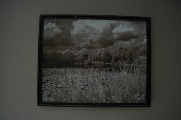 Bloody Hell - DSC_1069.JPG