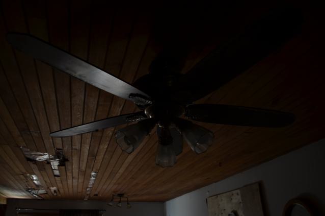 Bloody Hell - DSC_1067.JPG