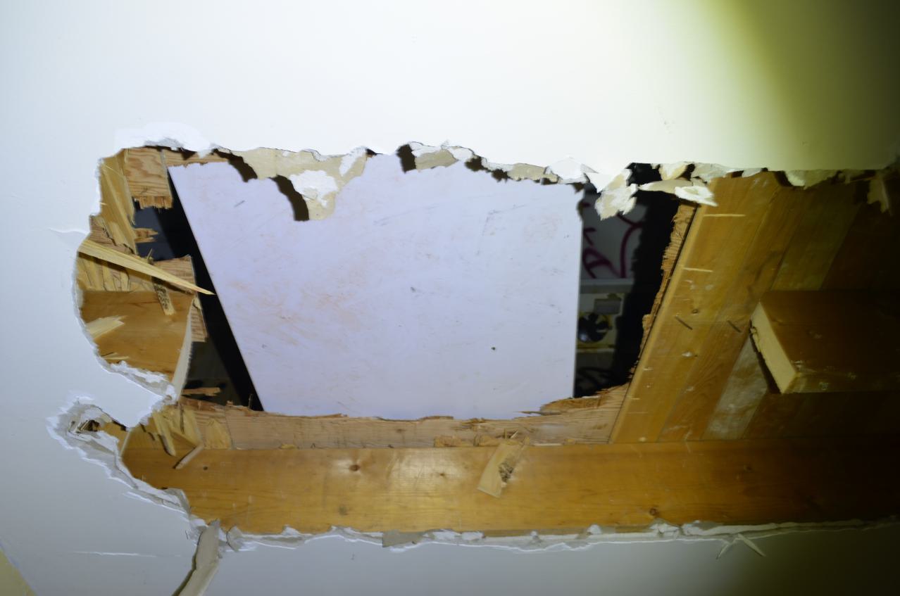 Bloody Hell - DSC_1048.JPG