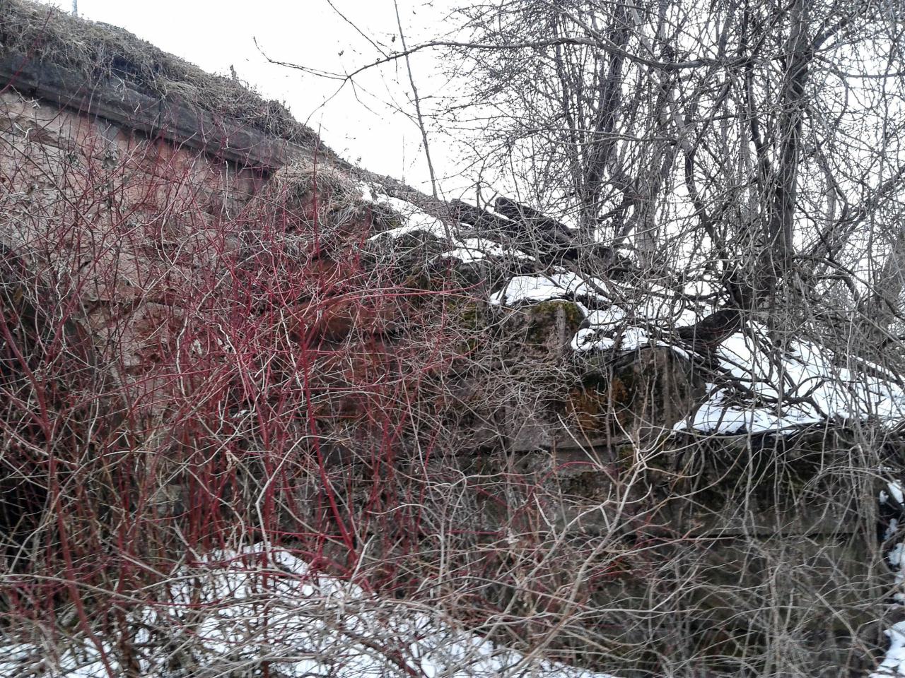 03/09/18 - PSX_20250518_212253.jpg