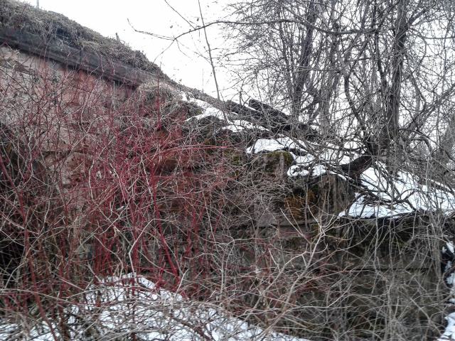 03/09/18 - PSX_20250518_212253.jpg