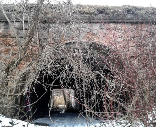 03/09/18 - PSX_20250518_212207.jpg