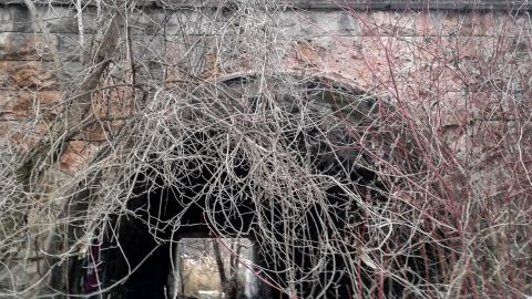 03/09/18 - PSX_20250518_212207.jpg