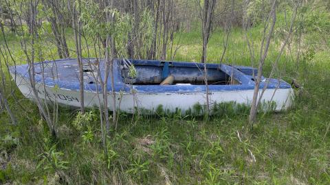 Farmer's Market - 1000008963.jpg