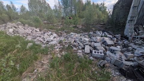 McGuire's Farmers Market photo 3