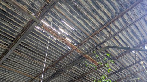 McGuire's Farmers Market photo 2