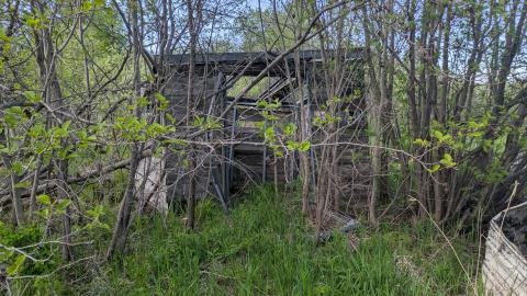 Farmer's Market - 1000008978.jpg