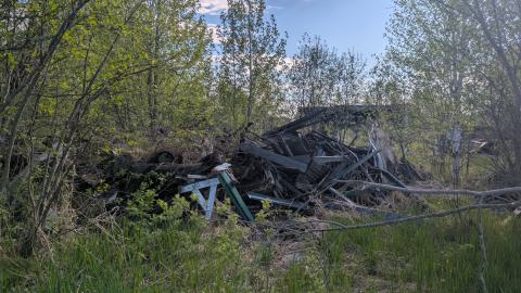 Farmer's Market - 1000008981.jpg