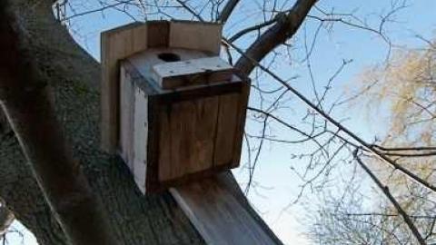 stability issues  - Halls-Road-Horror17.jpg