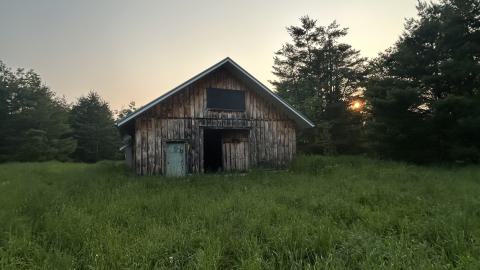 June 2025 - Fairground Flophouse - IMG_6472.jpeg