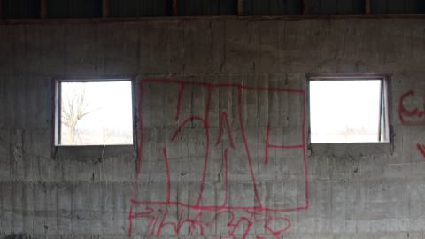 April 2025 - Shed - IMG4151wm.JPG