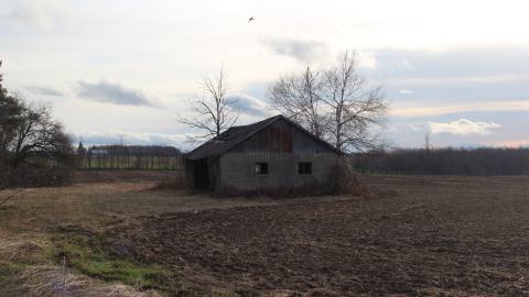 April 2025 - Shed - IMG4146wm.JPG