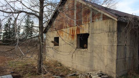 April 2025 - Shed - IMG4152wm.JPG