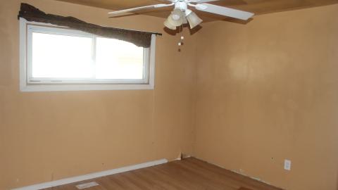 April 2025 - Scrappy Neighbor - IMG4219wm.JPG