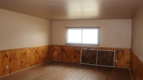 scrappy neighbor photo 4