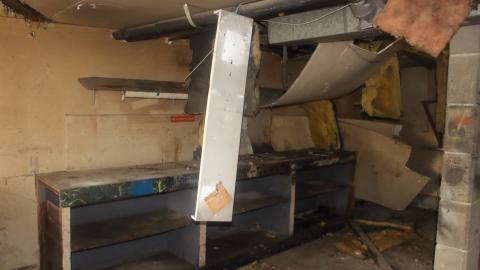 Photo from April 2025 - Scrappy Neighbor