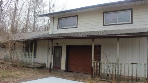 scrappy neighbor photo 3